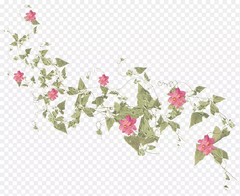 玫瑰科花瓣图案设计