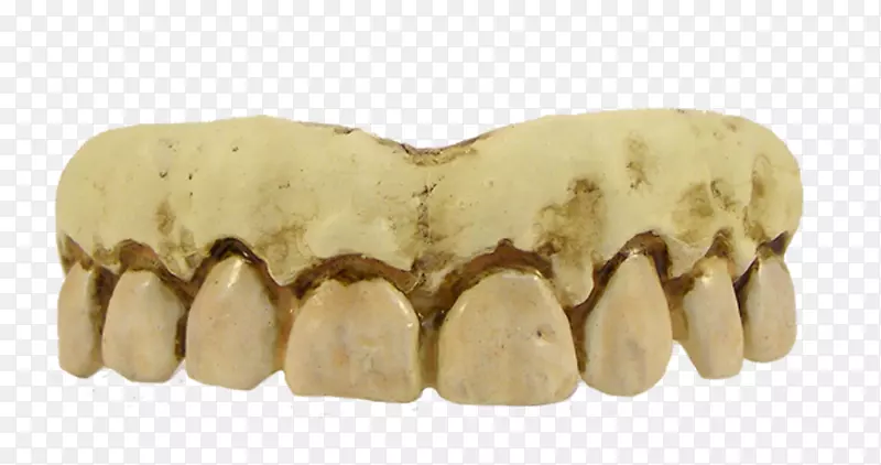 人类牙齿服装人体骨架-假笑