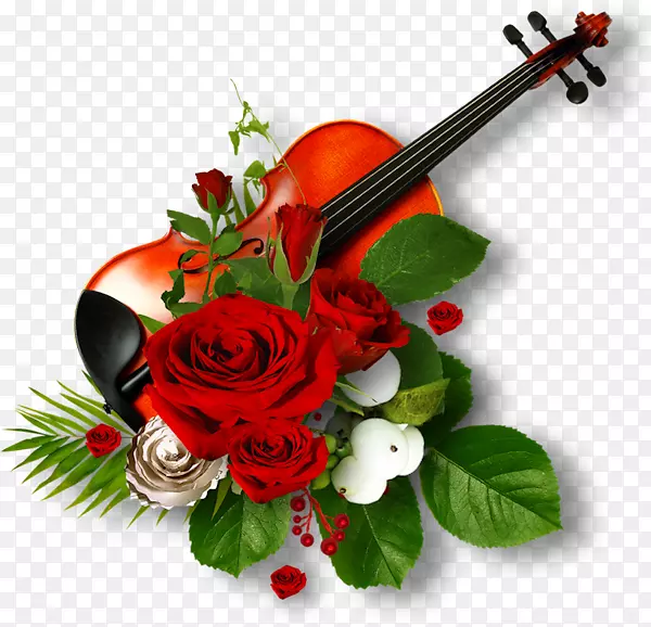 花园玫瑰画框小提琴花小提琴
