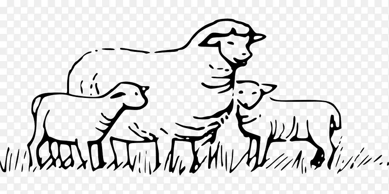 多塞特角山羊牲畜剪贴画-绵羊羔羊