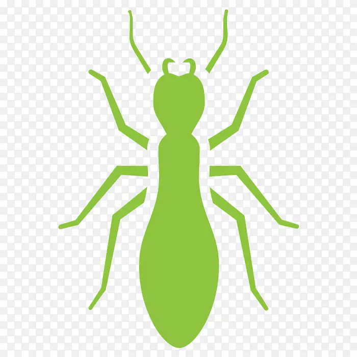 蟑螂蚊虫防治白蚁