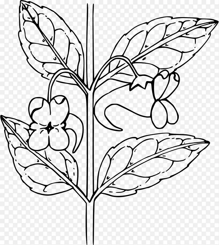 毛茸茸的蝴蝶花设计花斑触摸-我-不是剪贴画-花