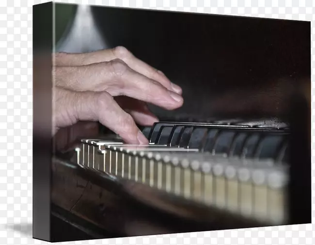 钢琴电子乐器键盘乐器附件钢琴
