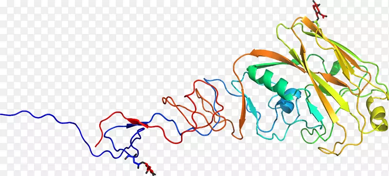 线点生物剪贴画线