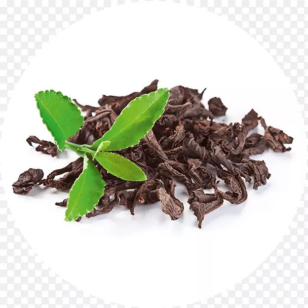 绿茶白茶植物茶袋-绿茶