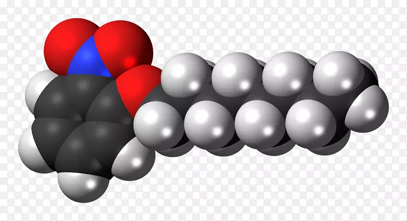 双环分子1-(2-硝基苯氧基)辛烷化合物-氧的发现