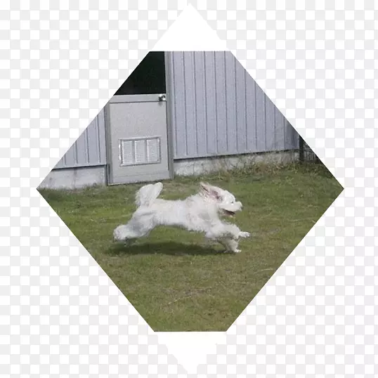 夹角