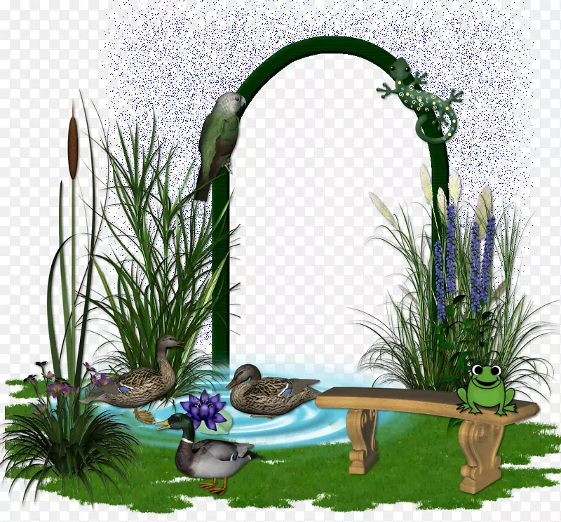花型设计：梅乔瑞尔蓝草花园草花盆-老鼠