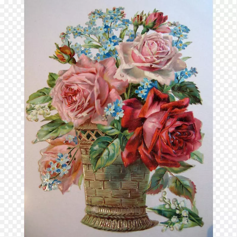 花园玫瑰、甘蓝、玫瑰、花型、切花、静物花瓶