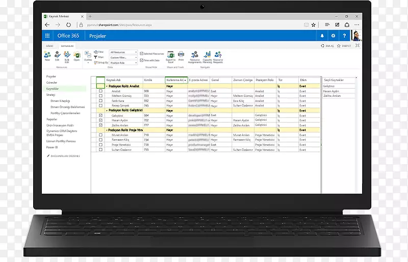 Microsoft项目服务器项目组合管理-Microsoft