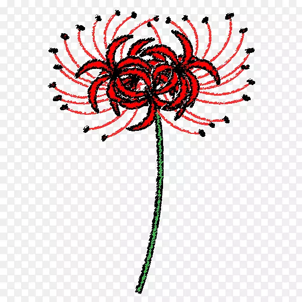 花卉设计红蜘蛛百合视觉艺术设计