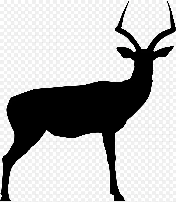 雪佛兰黑斑羚鹿剪贴画-黑斑羚