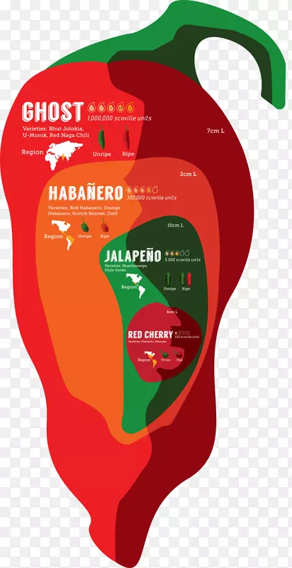 信息图表辣椒SCOVILE单位b HHOLOKIA Jalapo o-squaspace