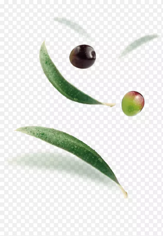 墨西哥橄榄Madama Oliva s.r.l.小吃绿豆橄榄
