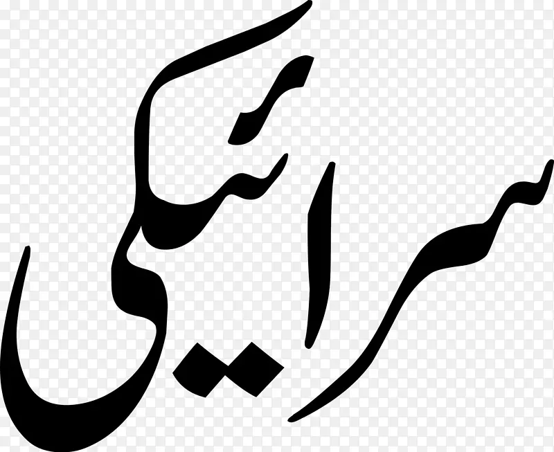 Saraiki巴基斯坦语Lahnda Punjabi语言Indoaryan语言