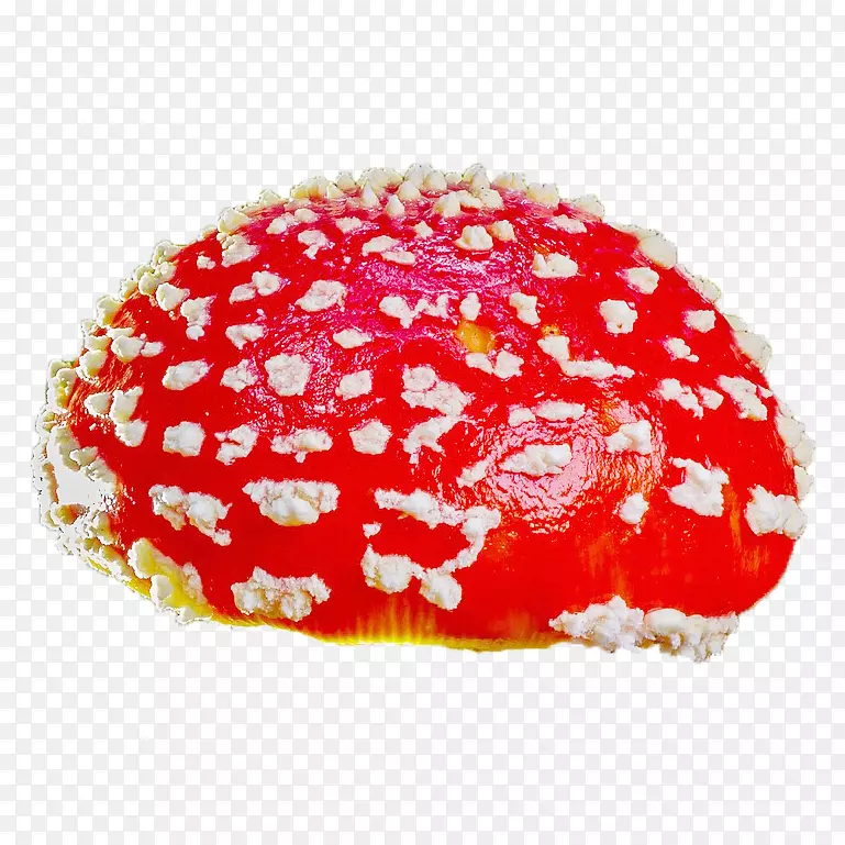 [医]天麻木耳真菌牛肝菌-蘑菇
