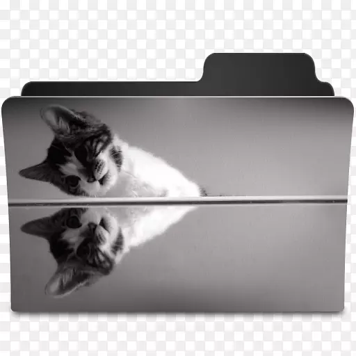 猫须黑白相间