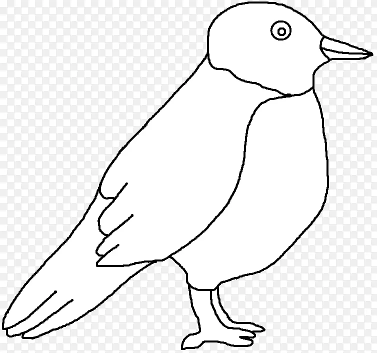 鸭鸟白色动物剪贴画-鸭子