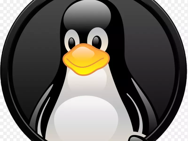 linux安装web主机服务计算机软件计算机服务器-linux