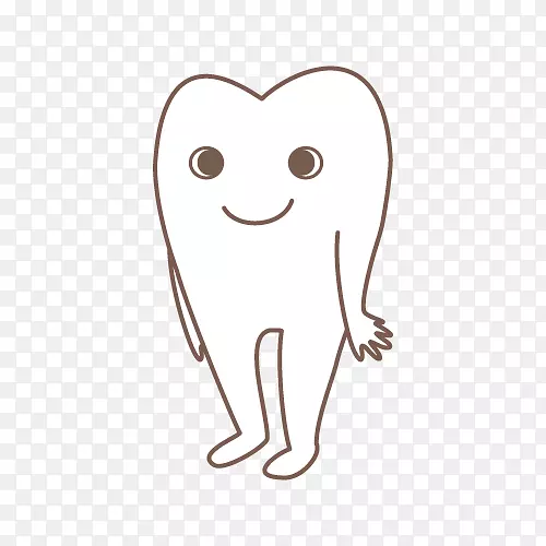 牙套蛀牙拔牙歯冠継続歯-磨牙