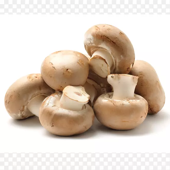 普通食用菌如何种植蘑菇
