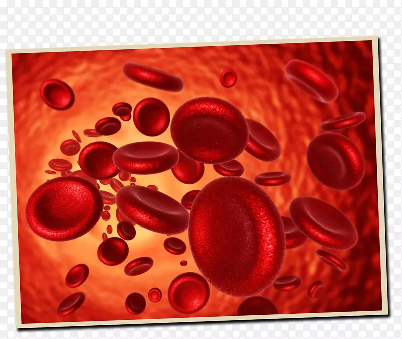 红细胞缺铁性贫血缺铁性血液