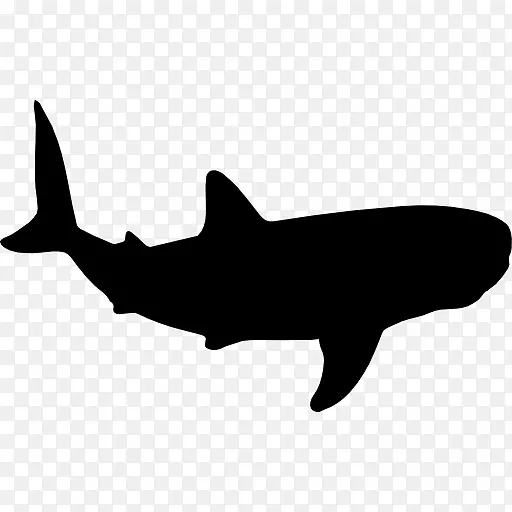 鲸鲨头盖骨剪贴画-鲨鱼