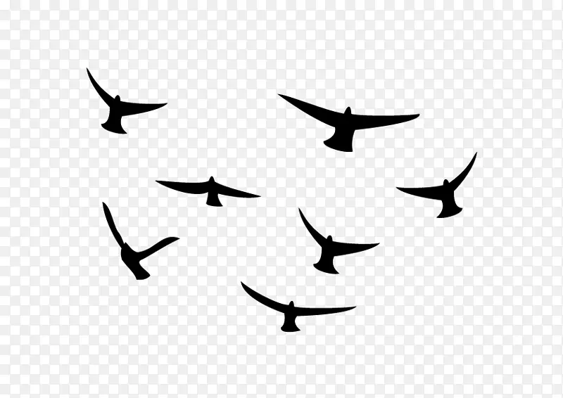 鸟迁徙线剪贴画-鸟