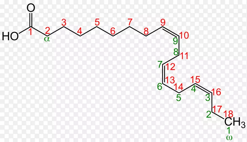 脂肪酸去饱和酶定位亚油酸命名