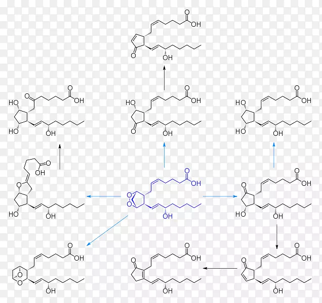 前列腺素类前列腺素H2环类生物合成-前列腺素内过氧化物合成酶2