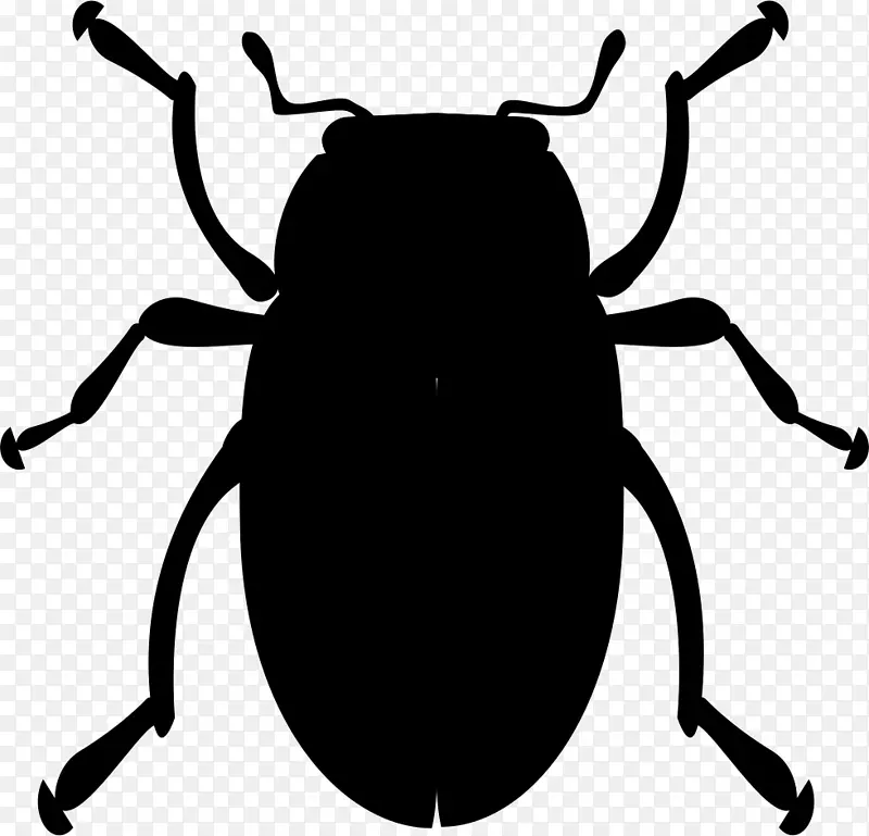 计算机图标大众甲虫瓢虫剪贴画昆虫