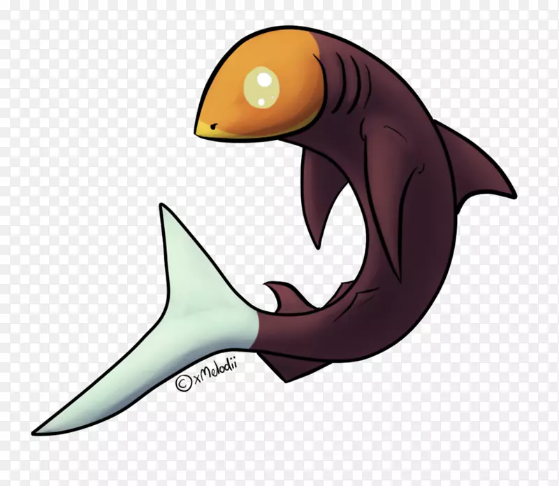 鲨鱼海洋生物海豚剪贴画-鲨鱼