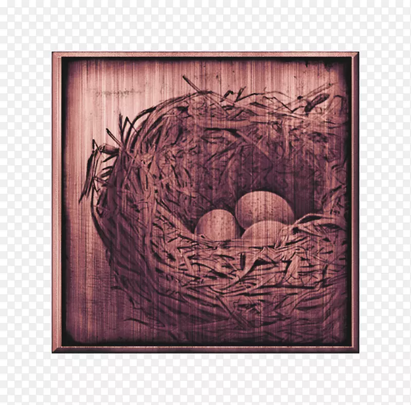 复活节鸟巢画框-书屋创意巢