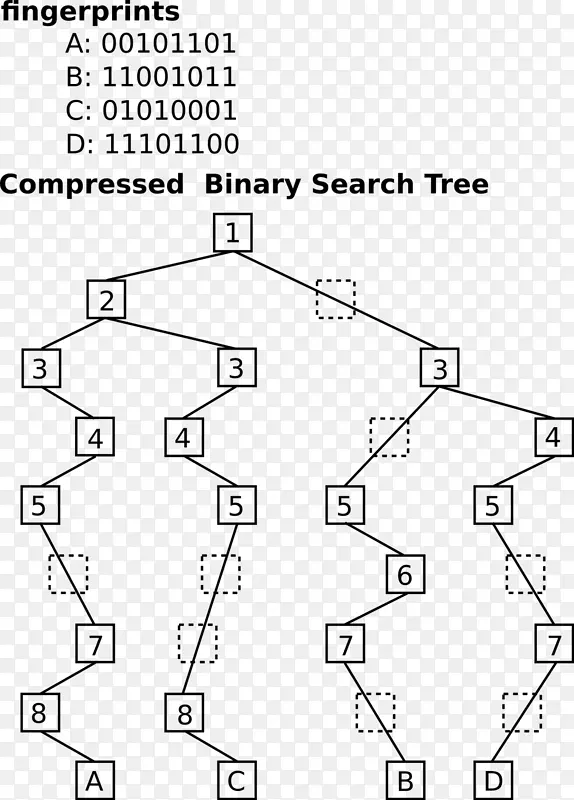 绘制b-树二叉树