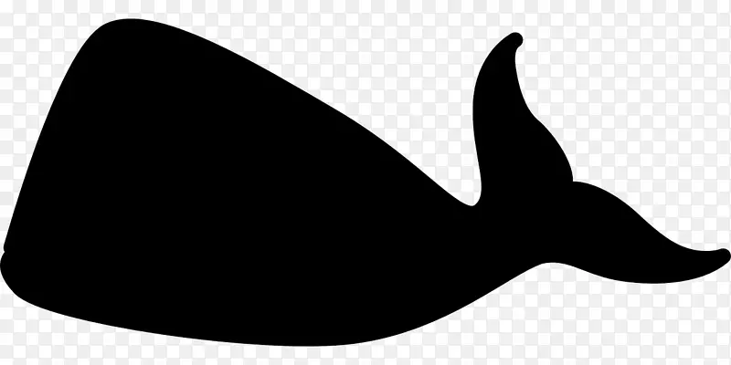 鲸目海洋，白鲸剪贴画-黑白鲸和白鲸