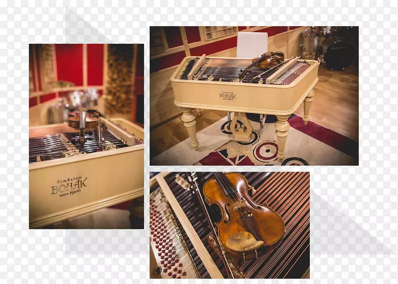布达佩斯烹饪乐器学会-乐器