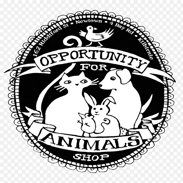 动物保护区绵羊动物福利筹款-绵羊
