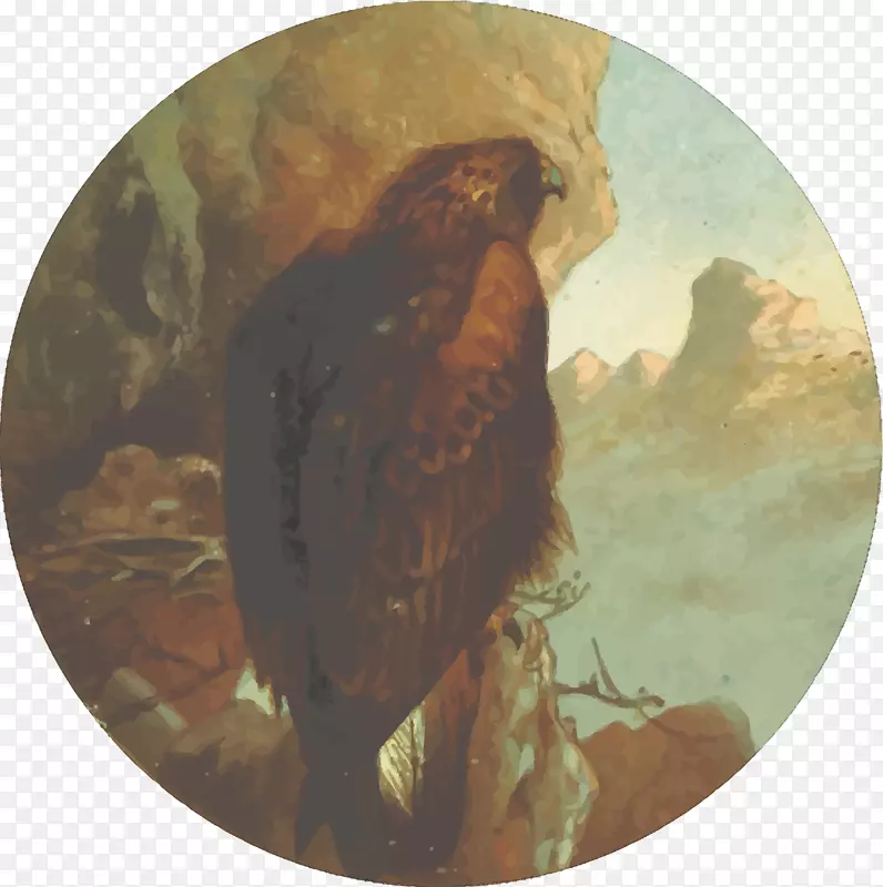 绘有羽毛的最爱：英国鸟鹰剪贴画-鹰素描