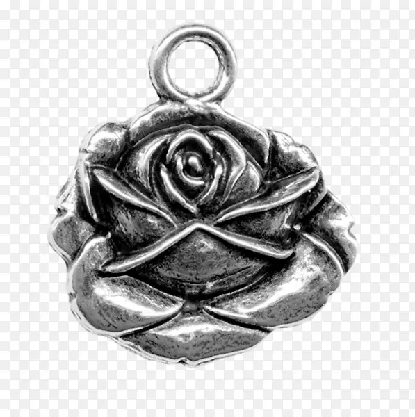 项链、耳环、银首饰、迷人的手镯-野玫瑰