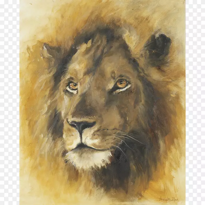 东非狮须水彩画野生动物