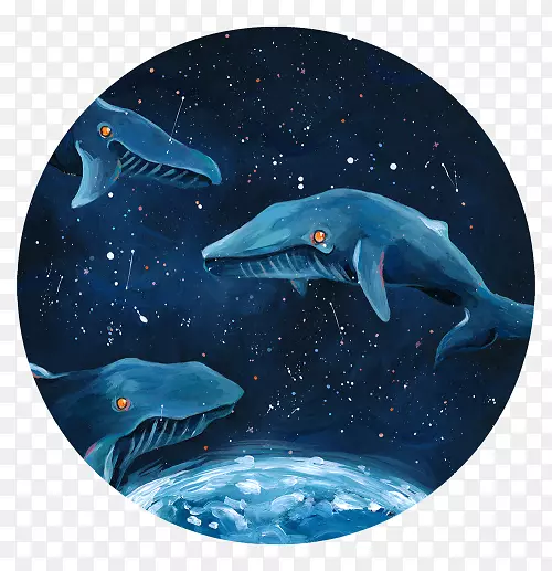 海豚海洋生物学-海豚