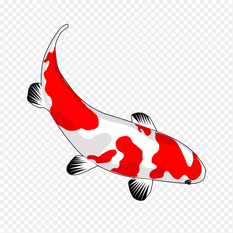 锦鲤池金鱼鲤鱼夹艺术-锦鲤