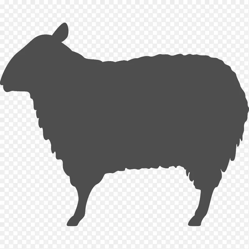 羊简历模板-羊肉火锅