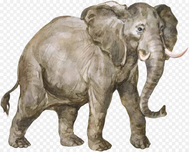疯人院里堆满了迷惑龙，这是从丛林书中制作的街头恐龙-非洲大象-大象的制表者。