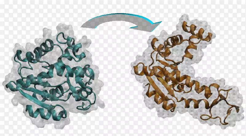 分子动力学基因组生物信息学靶向小分子药物粗颗粒