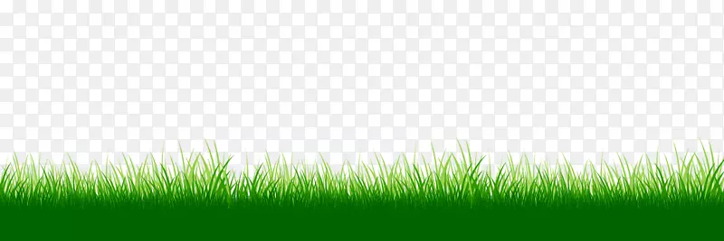 草坪草桌面壁纸能源草原夏季运动