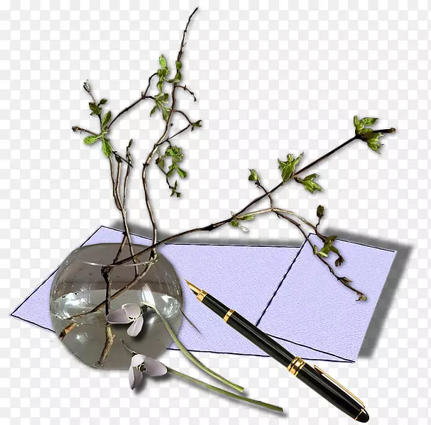 Ikebana花卉设计-叶设计
