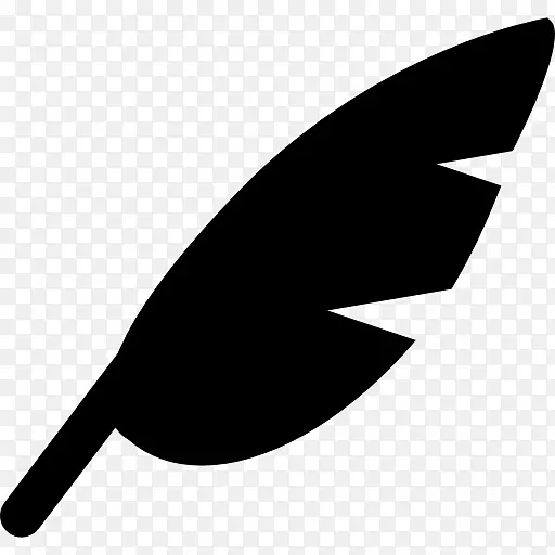 羽毛电脑图标翅膀羽毛笔.羽毛