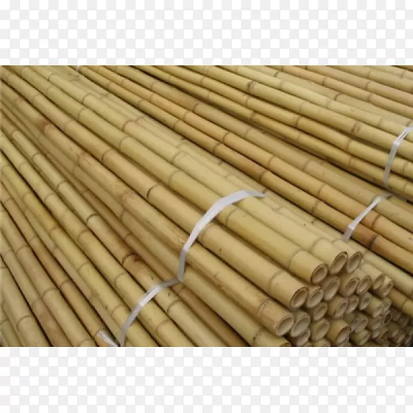 竹纺织建筑材料.竹子