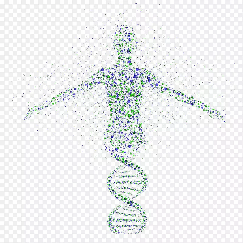 DNA遗传学脊柱科学